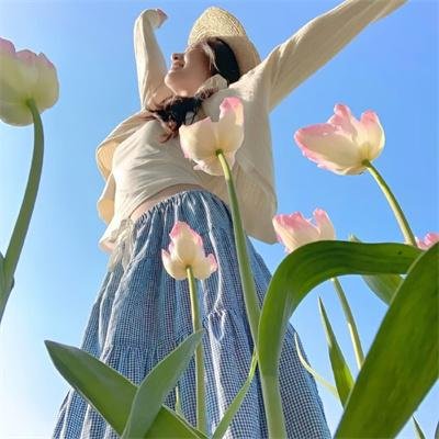 无名夫人封面